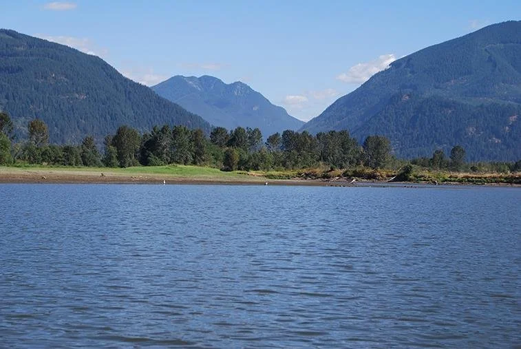 Island 22 Regional Park to Dewdney Regional Park