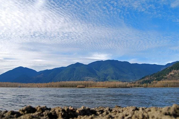 Cheam Fishing Camp to Island 22 Regional Park