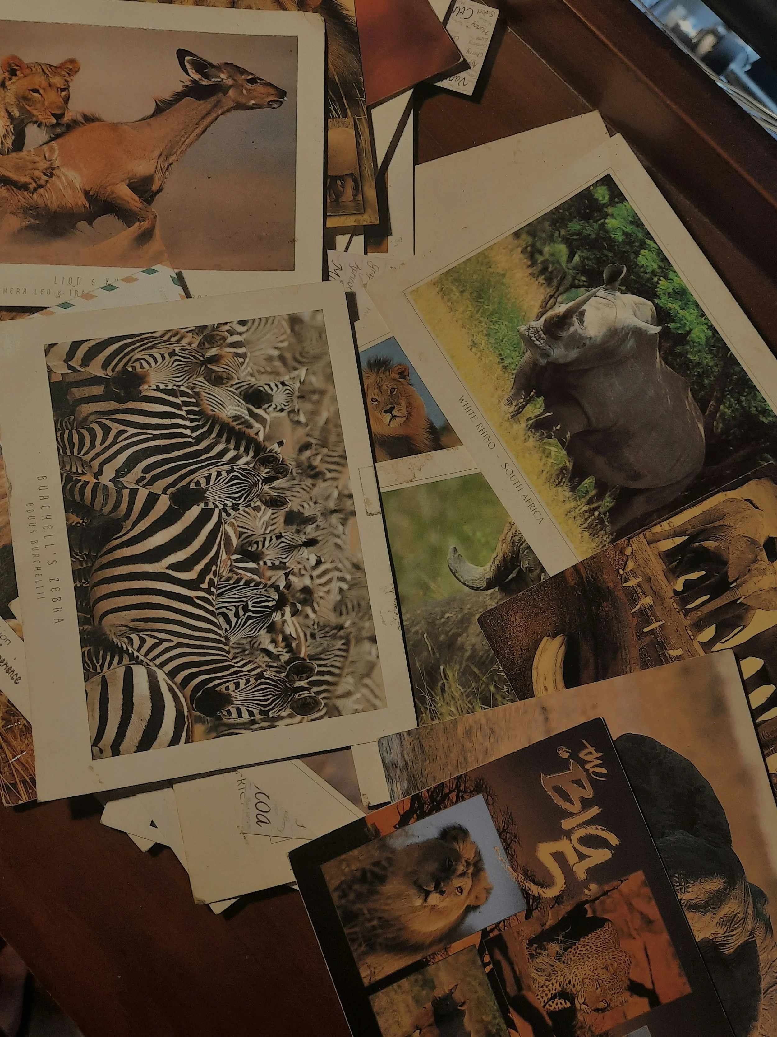 Aycock Liquidations and Estate Sales in Corpus Christi. Maximize your assets with compassionate and professional estate sale services. We are here to help simplify your life. We hold estate sales in Corpus Christi. #1 Most Trusted.