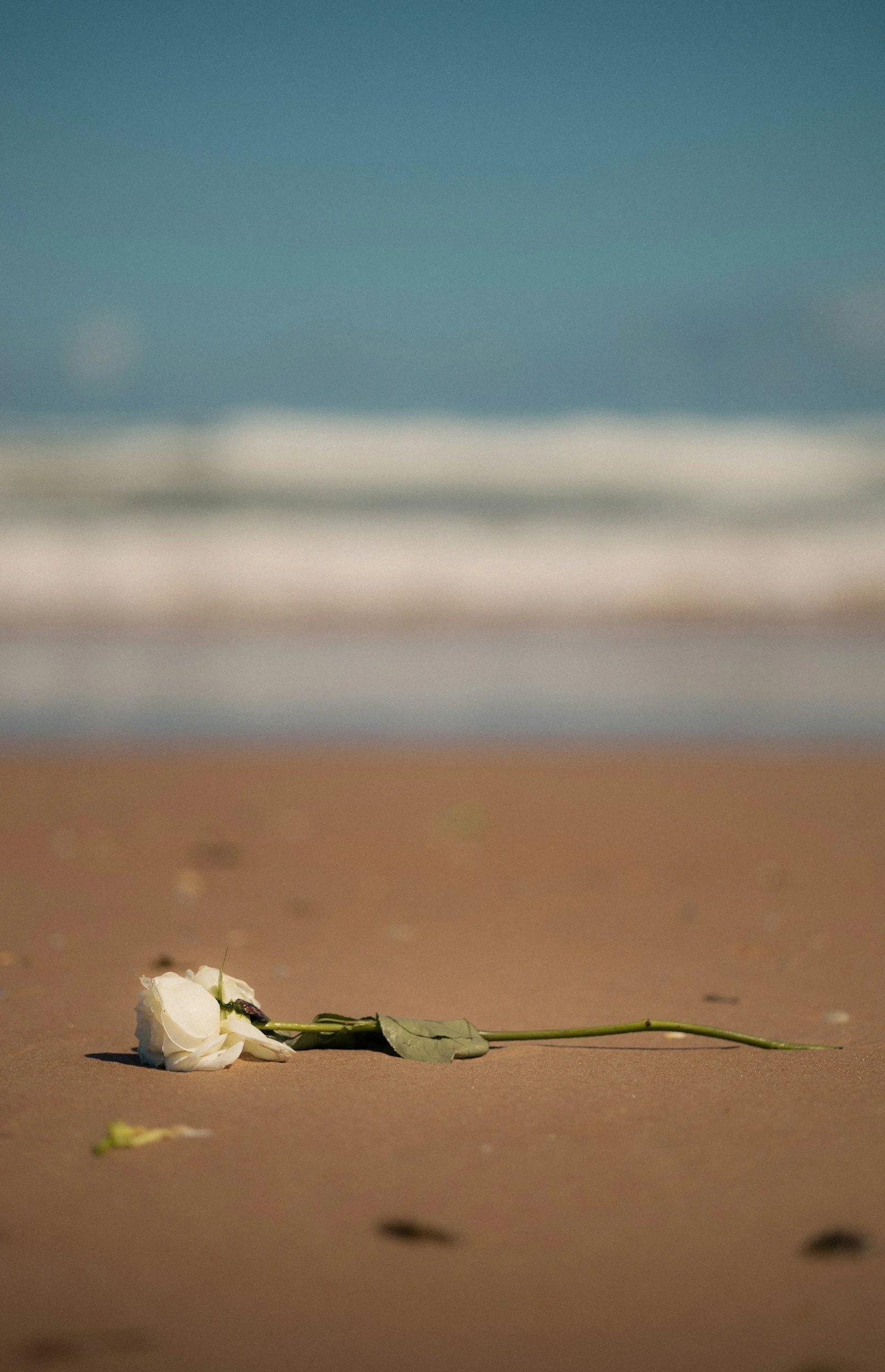 When New Grief Brings Up Old Grief: Why It Hurts So Much (and What Helps)