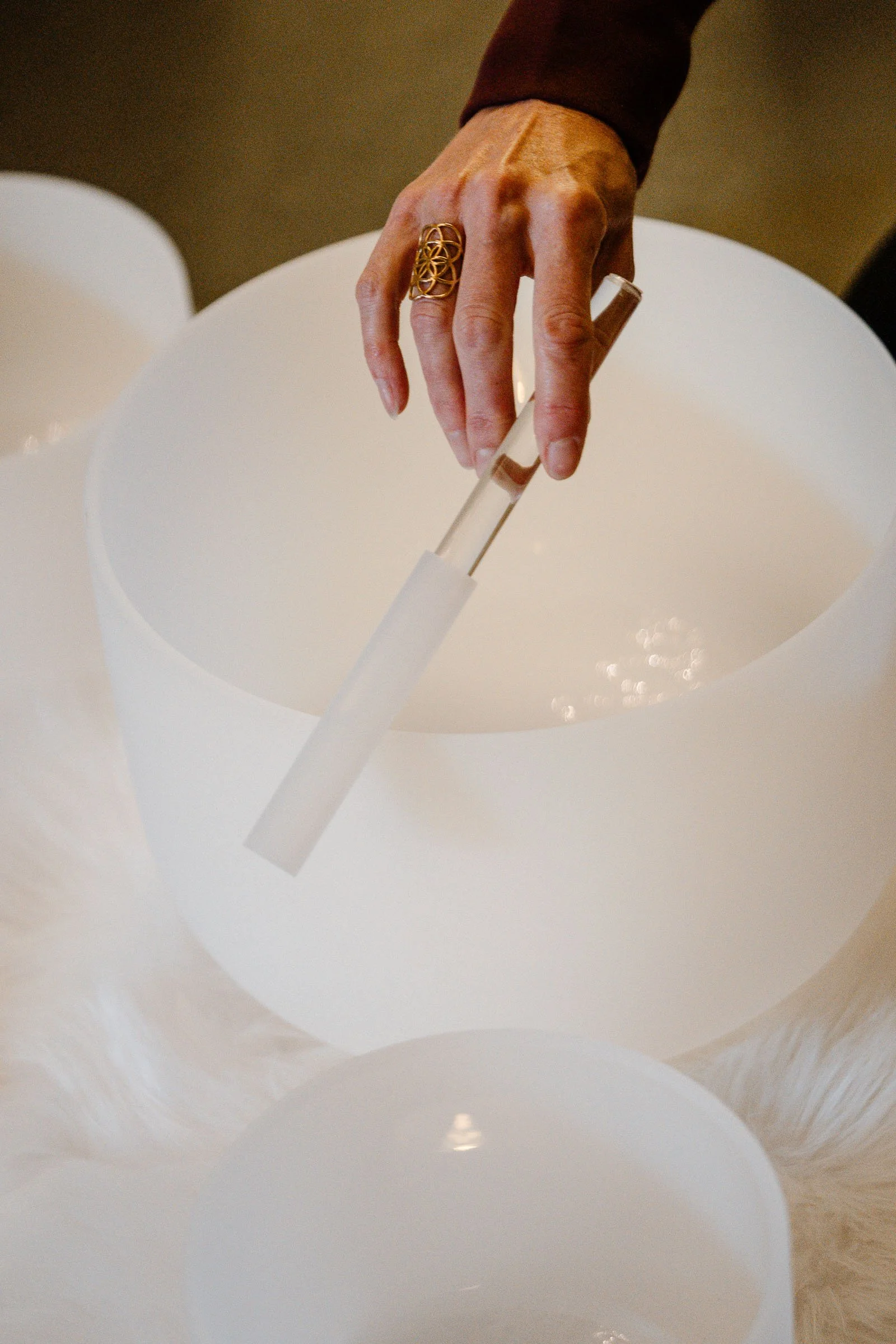 Norma - Colour - Web Size-146.jpg