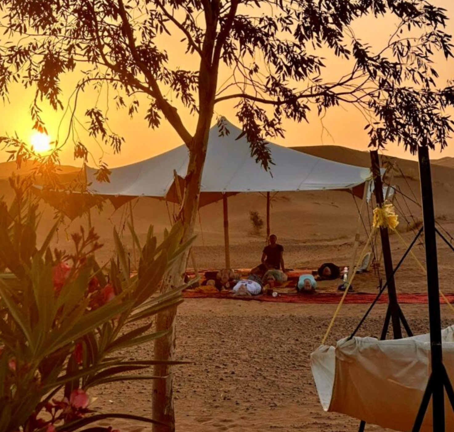 Bildschirmfoto 2026-02-03 um 09.45.30.png