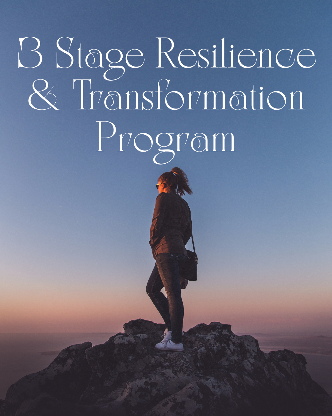 The Resilience Program