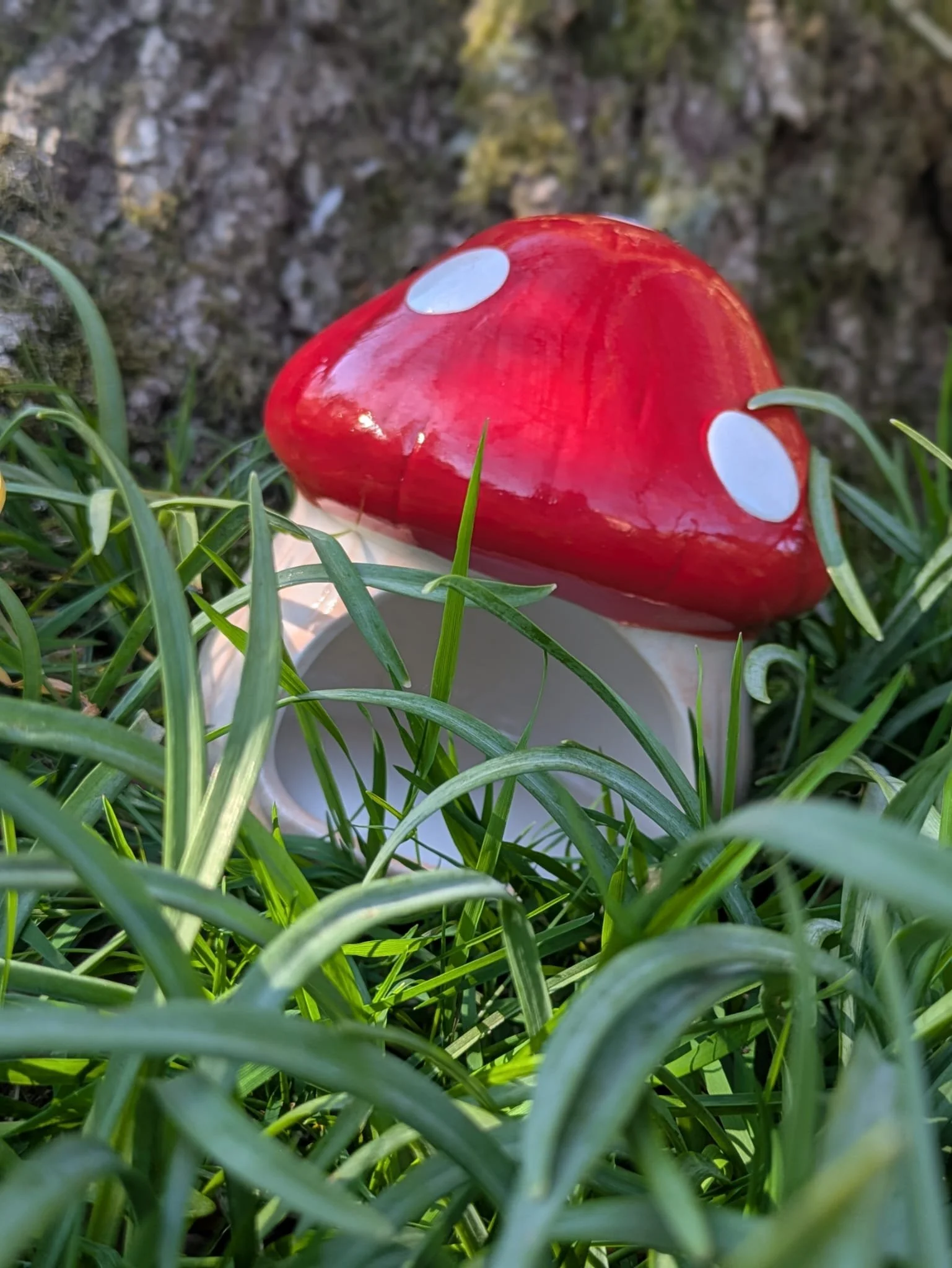mushroom hamster house