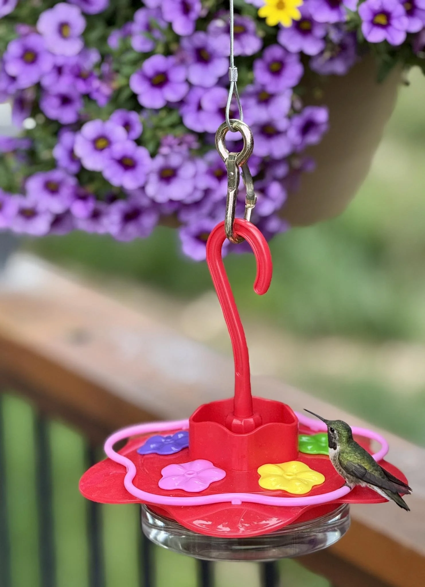 A hummingbird is perched on a red plastic feeder with yellow, pink, blue, and green flower-shaped accents, hanging from a cluster of purple flowers in the background.