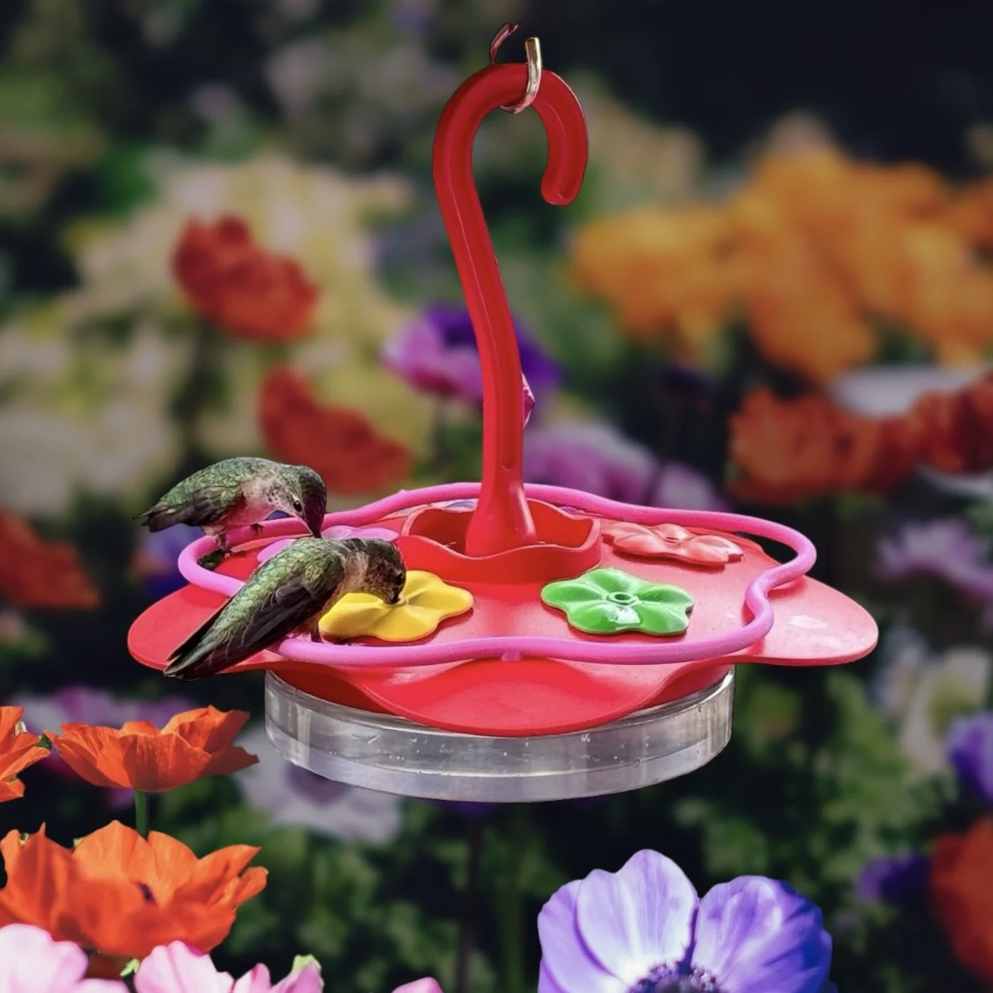 The 8oz Glass Sipper