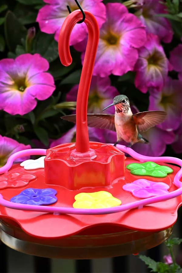 12 oz no umbrella 2 - 3.png