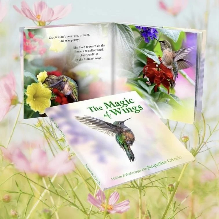 The Magic of Wings Book