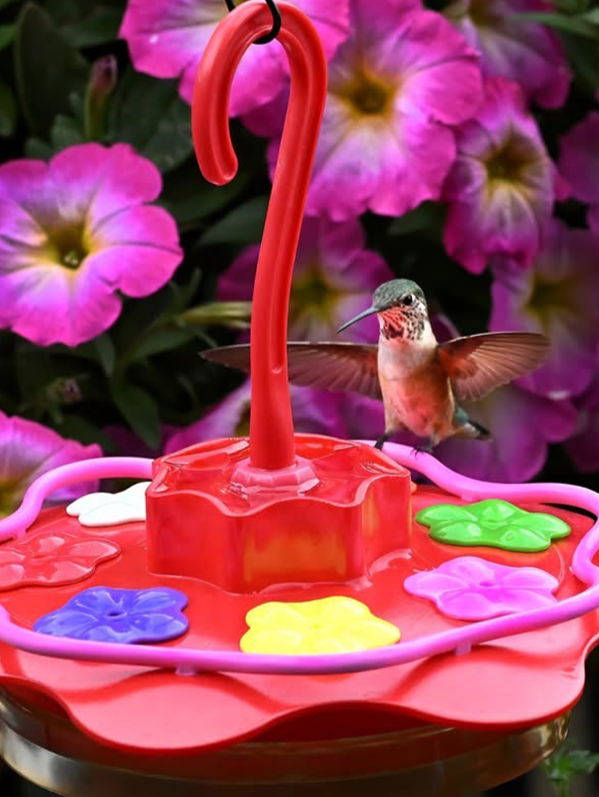 The 12oz Glass Sipper