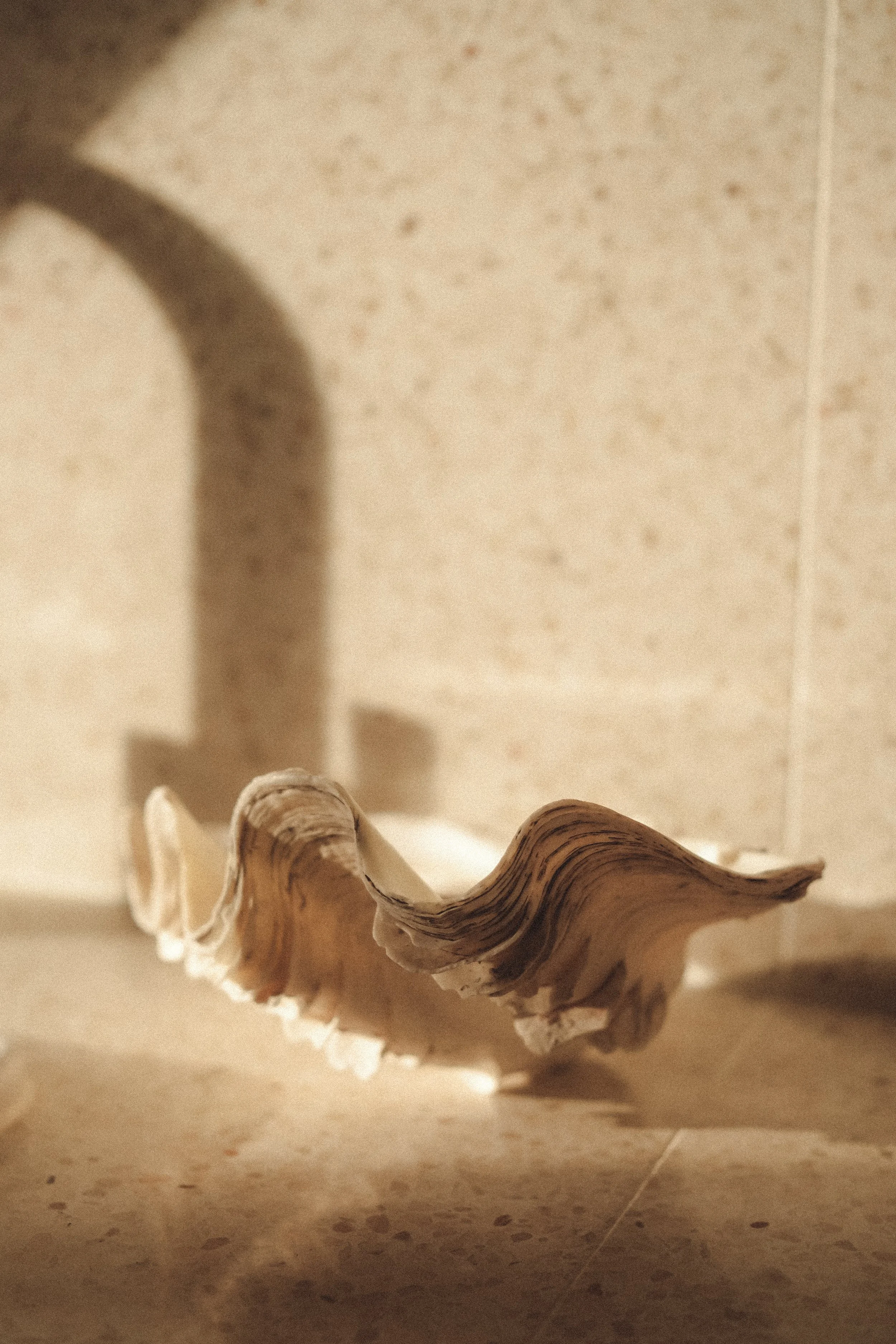 Close-up of a swirling piece of driftwood or wood sculpture on a beige tiled surface with a textured beige wall in the background. Shadow cast by the wood is visible on the wall.