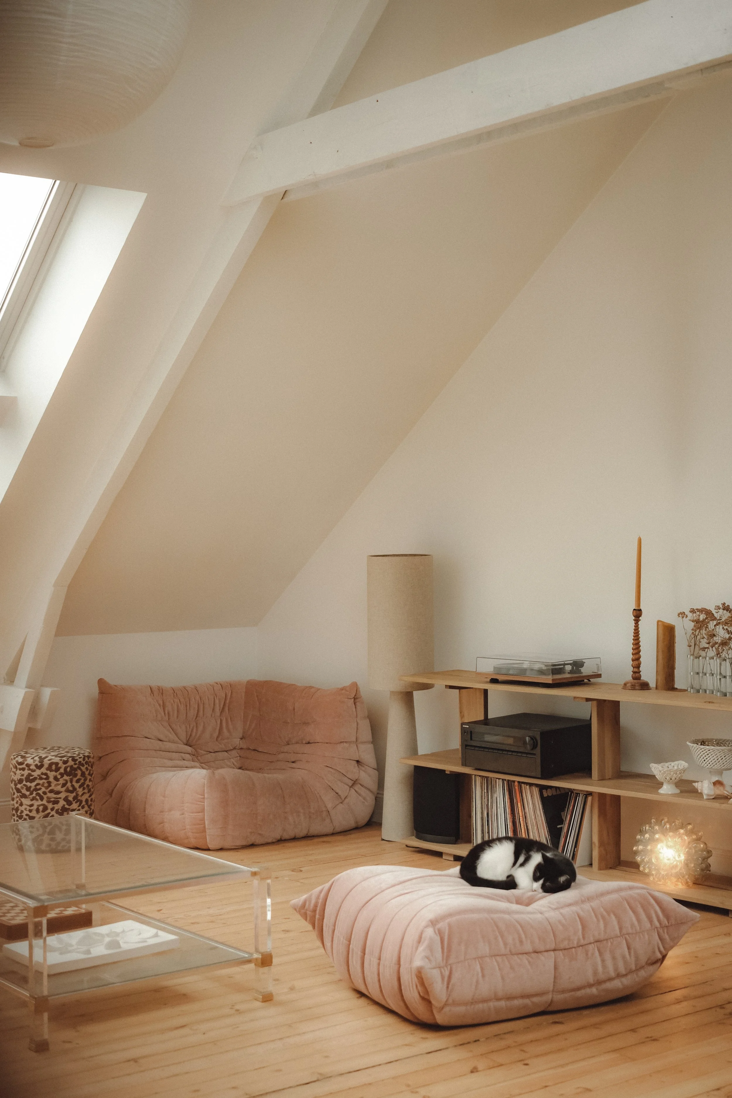 A cozy attic living room with a pink velvet bean bag, a sleeping black and white cat on a cushion, a glass coffee table, and a wooden shelf with records and decorative items.