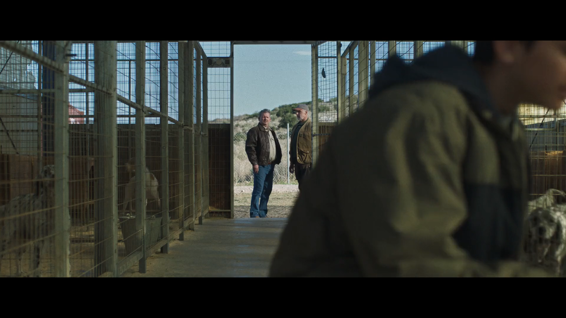 Στιγμιότυπο οθόνης (15).png