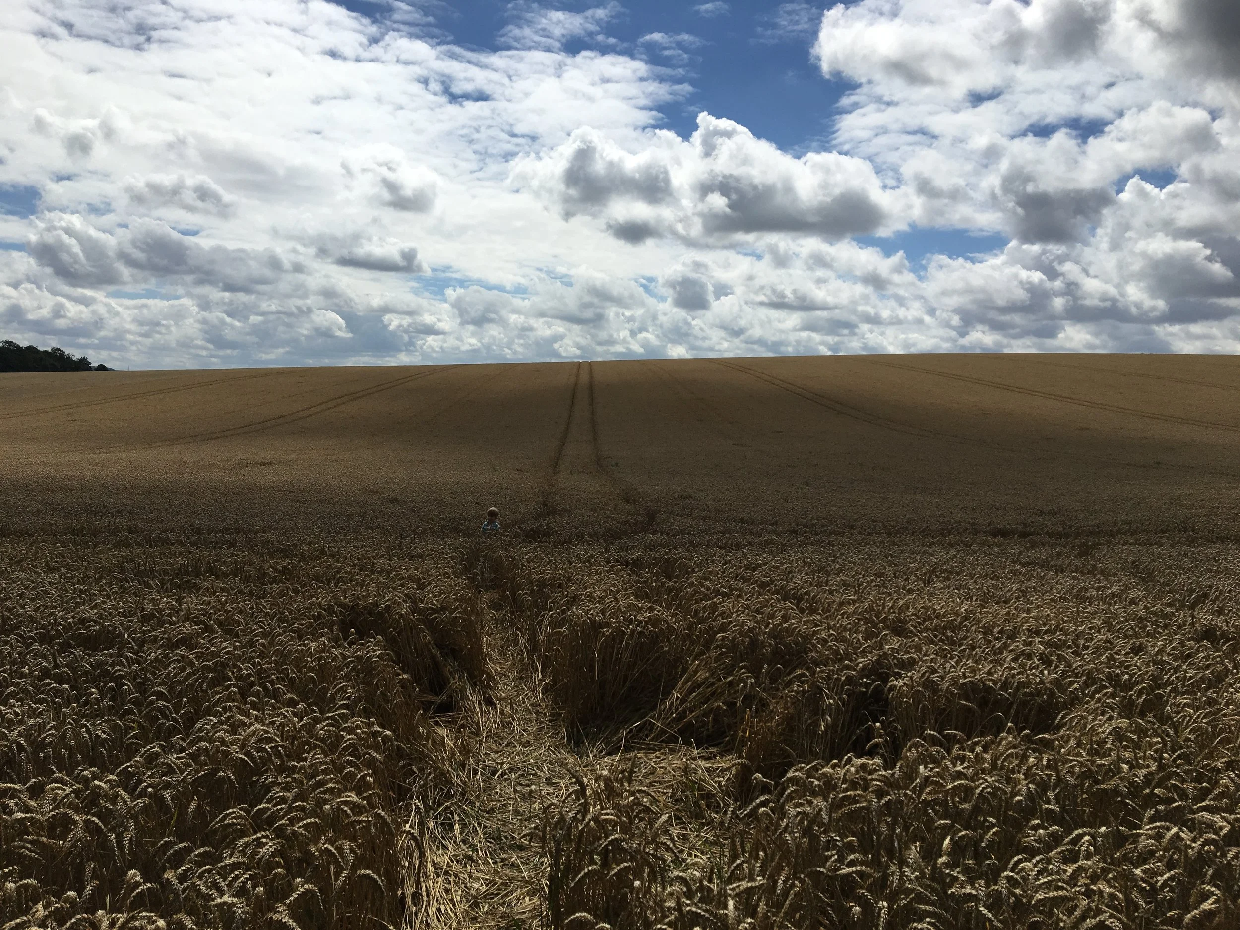 Photo 30-07-2017, 18 23 45.jpeg