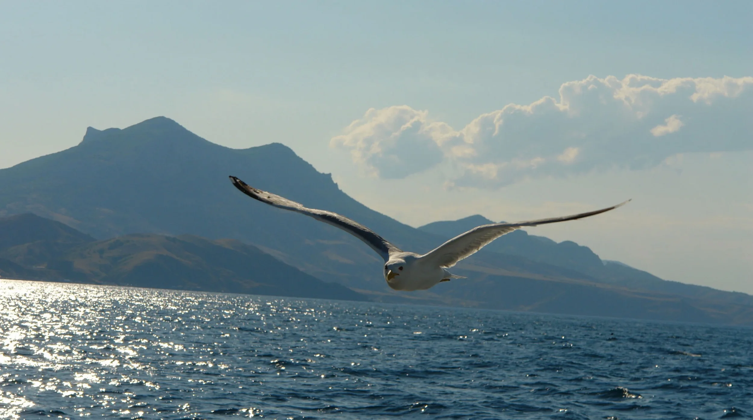 Life In New Dimensions