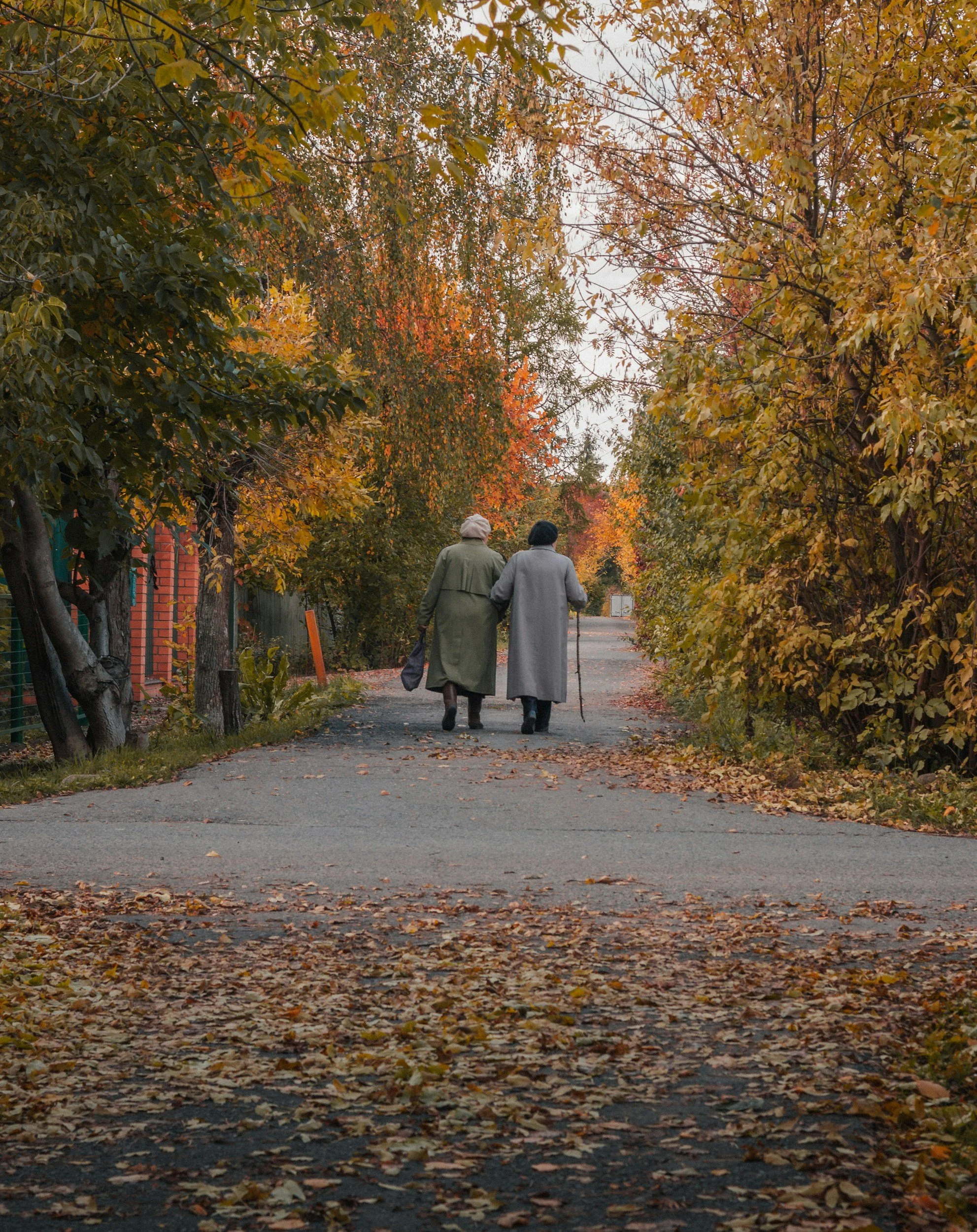 Two elderly women walk down a leaf-covered road surrounded by fall foliage, one with a cane and the other holding a bag.