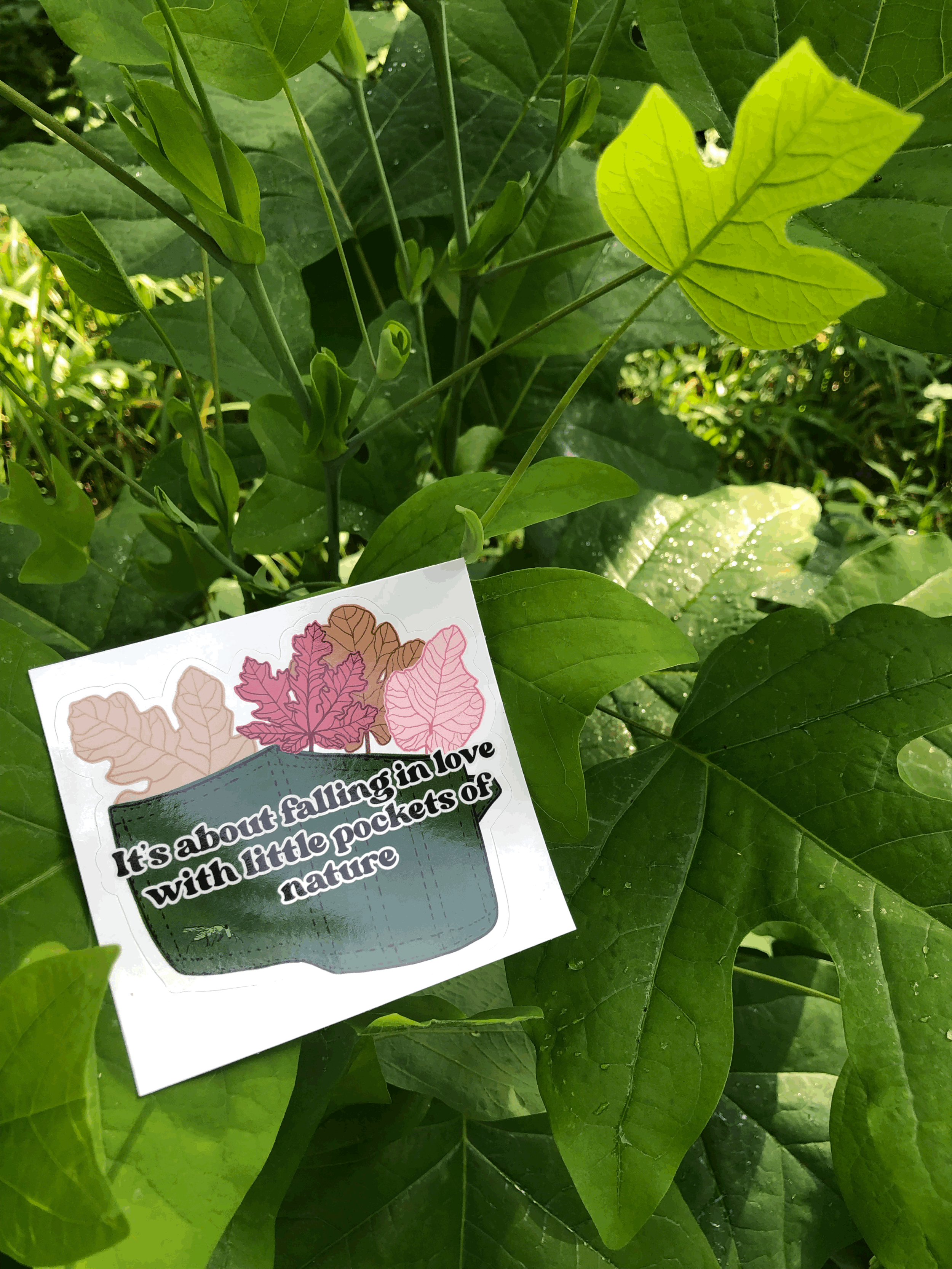 Pockets of Nature Sticker