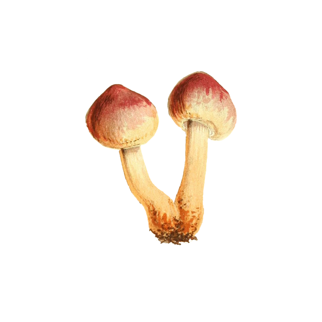 6 Cozy Gatherings on a Budget