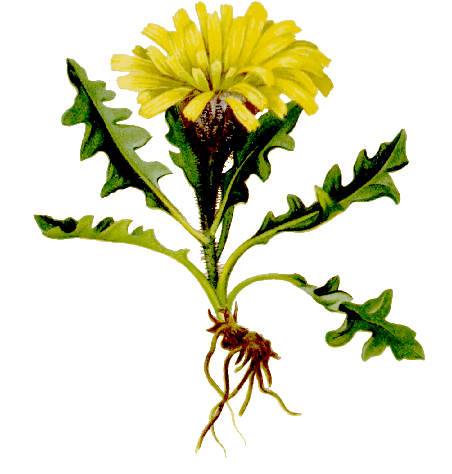 📝🕸️ Virtual Story Weaving Community