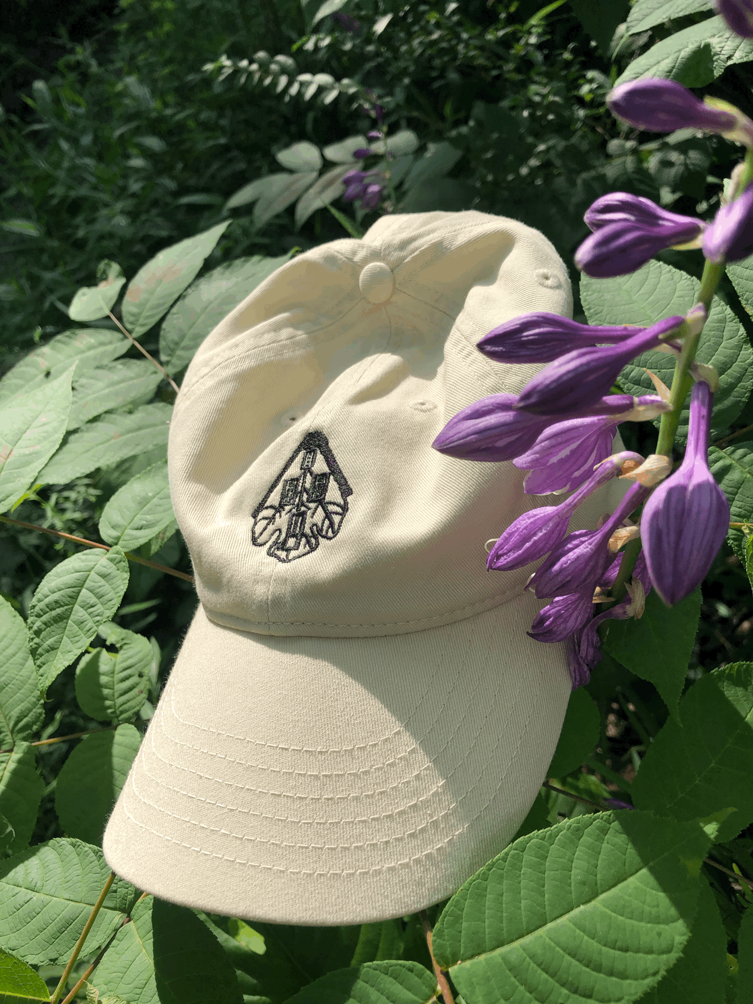 House of Fig Organic Cap