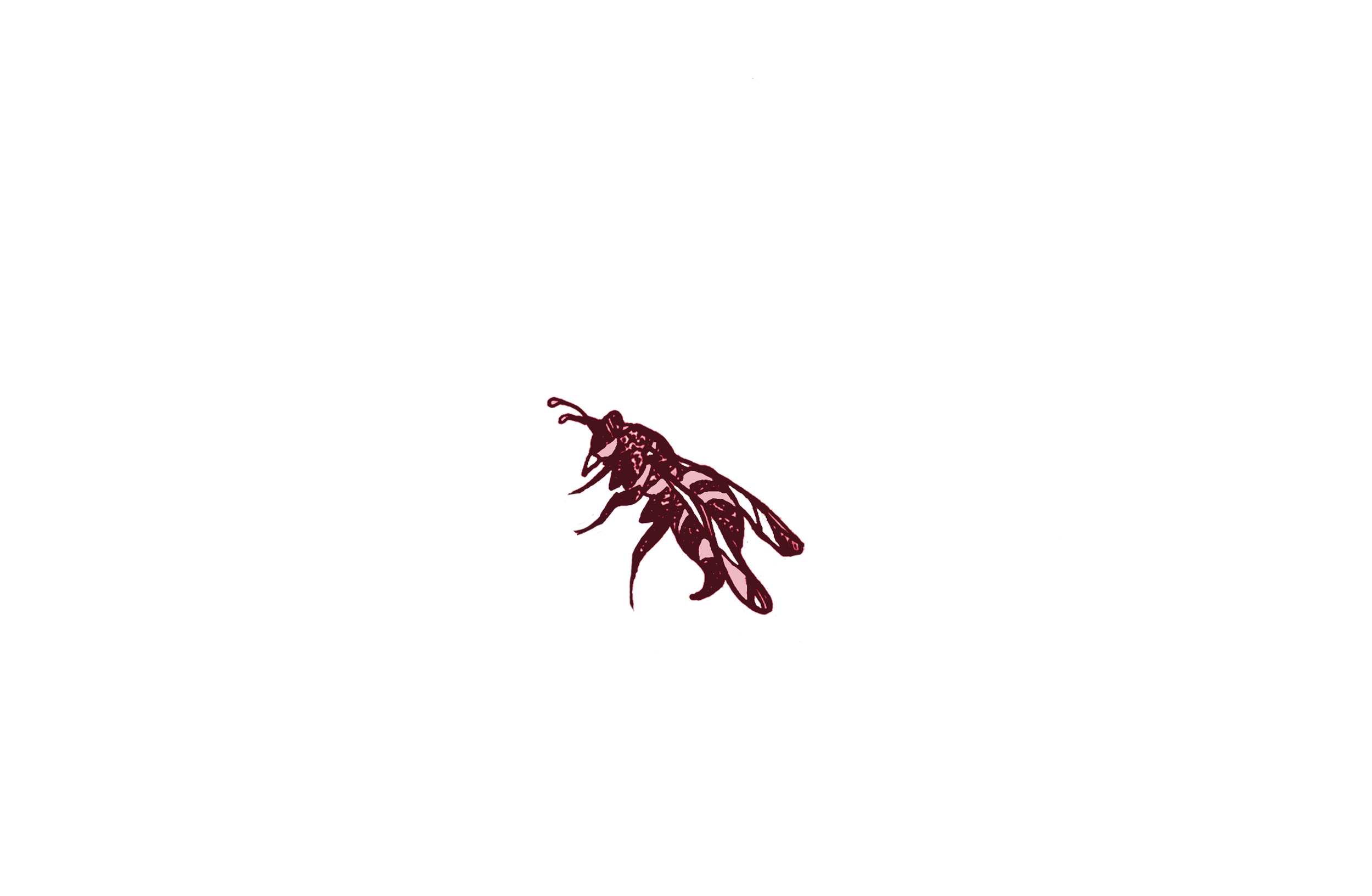 Magenta Wasp.png
