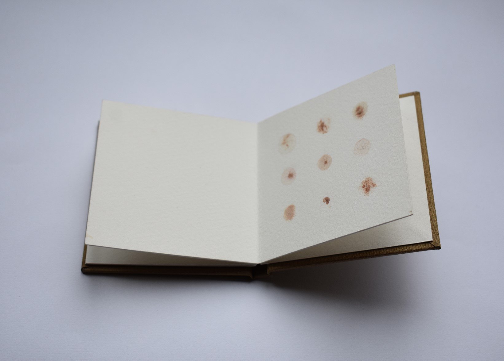 Blood Book I