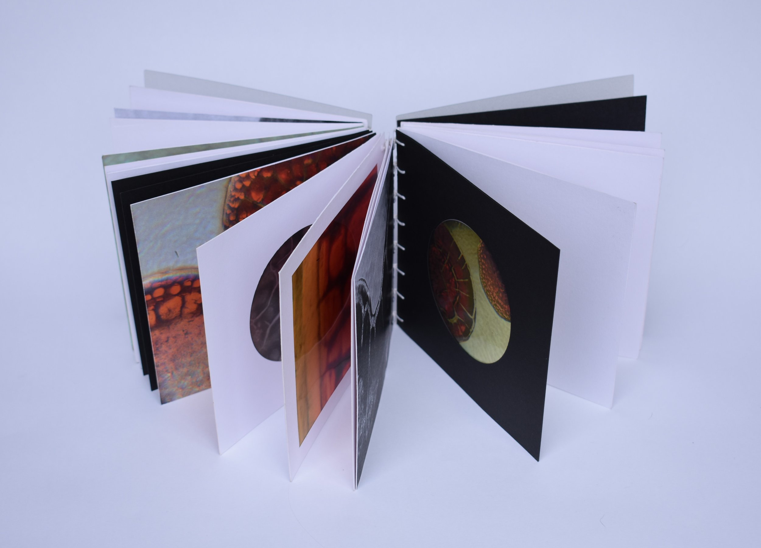 Blood Book II