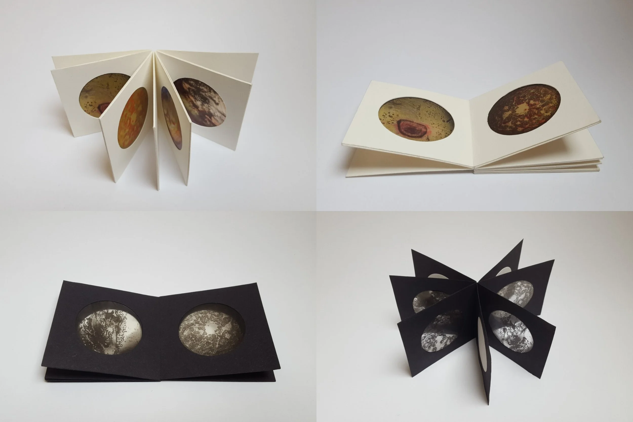 Blood Book maquettes 