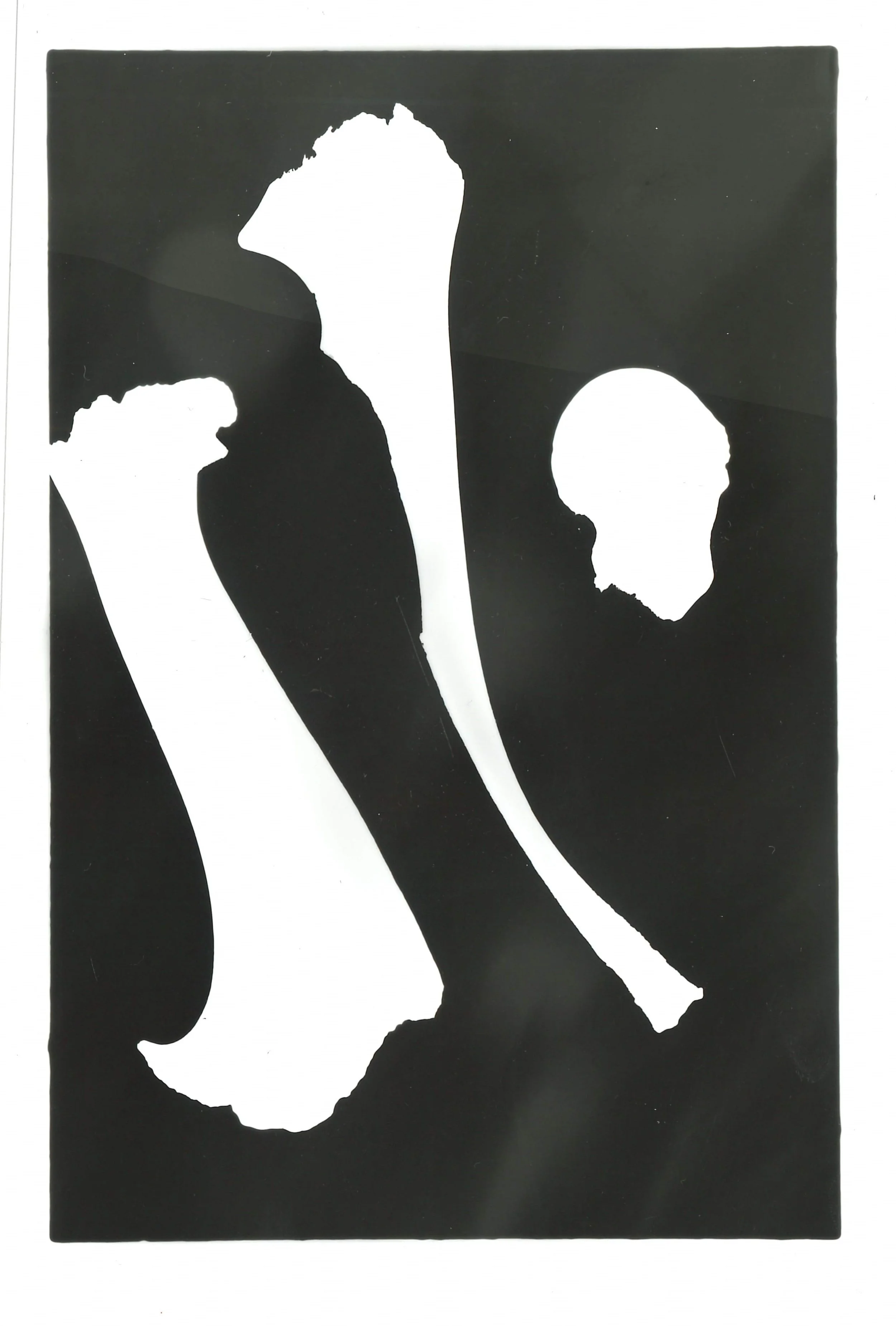 bones 1.jpg