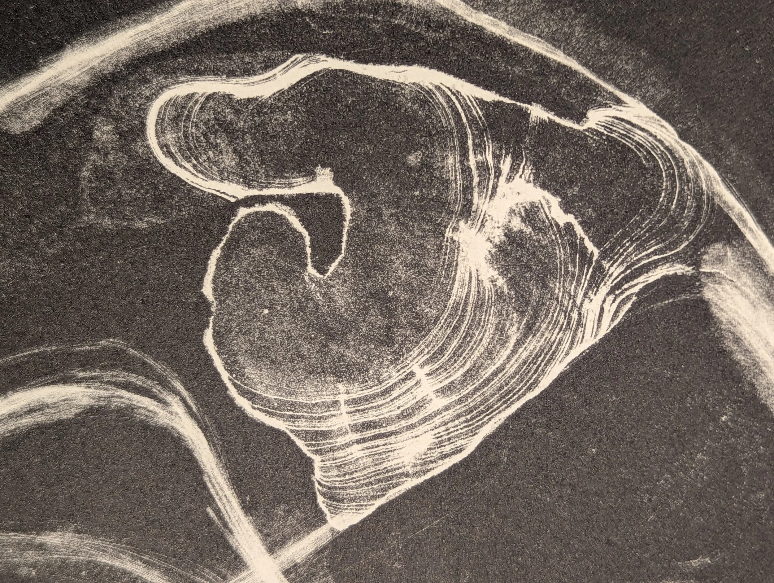 PXL_20260327_232205955.jpg