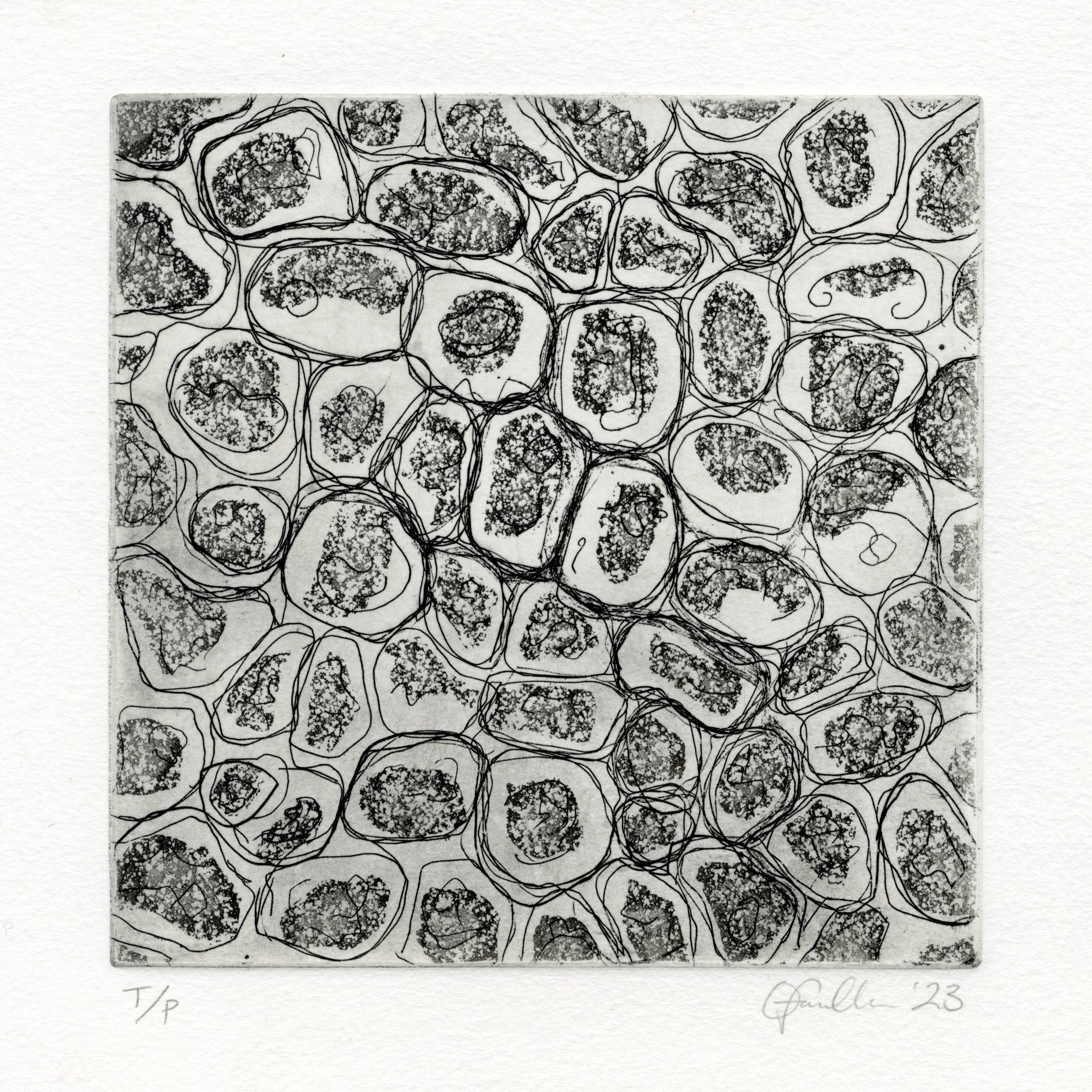 Untitled (seaweed etching series)