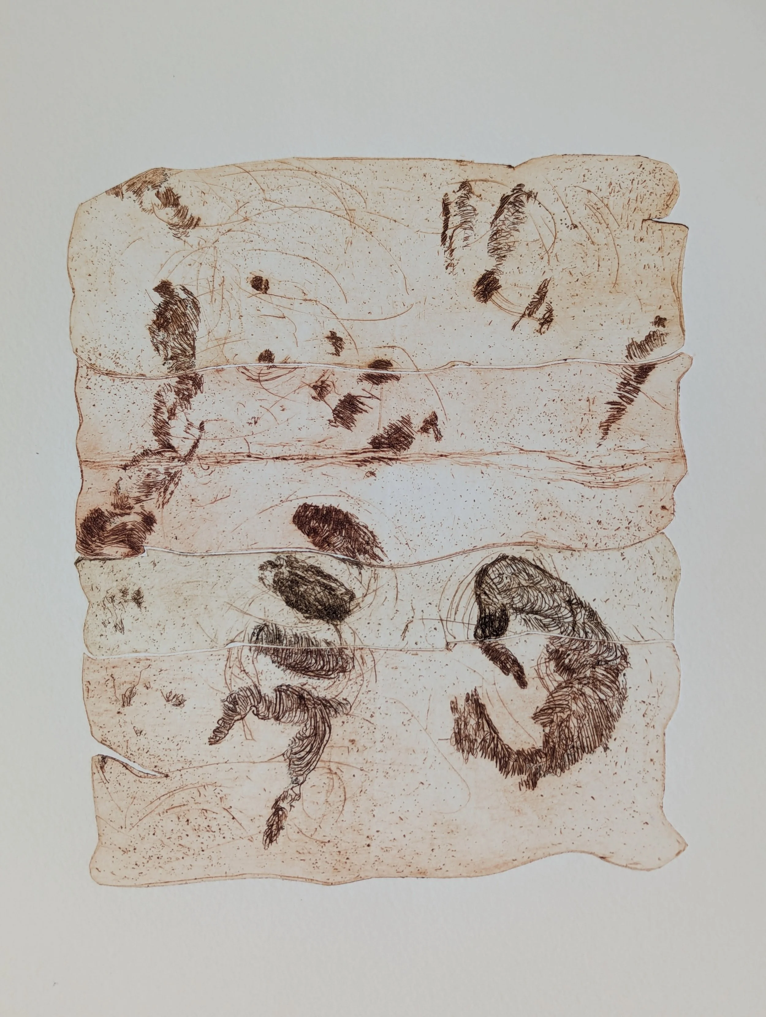 Untitled (body strata/collagraph series) 
