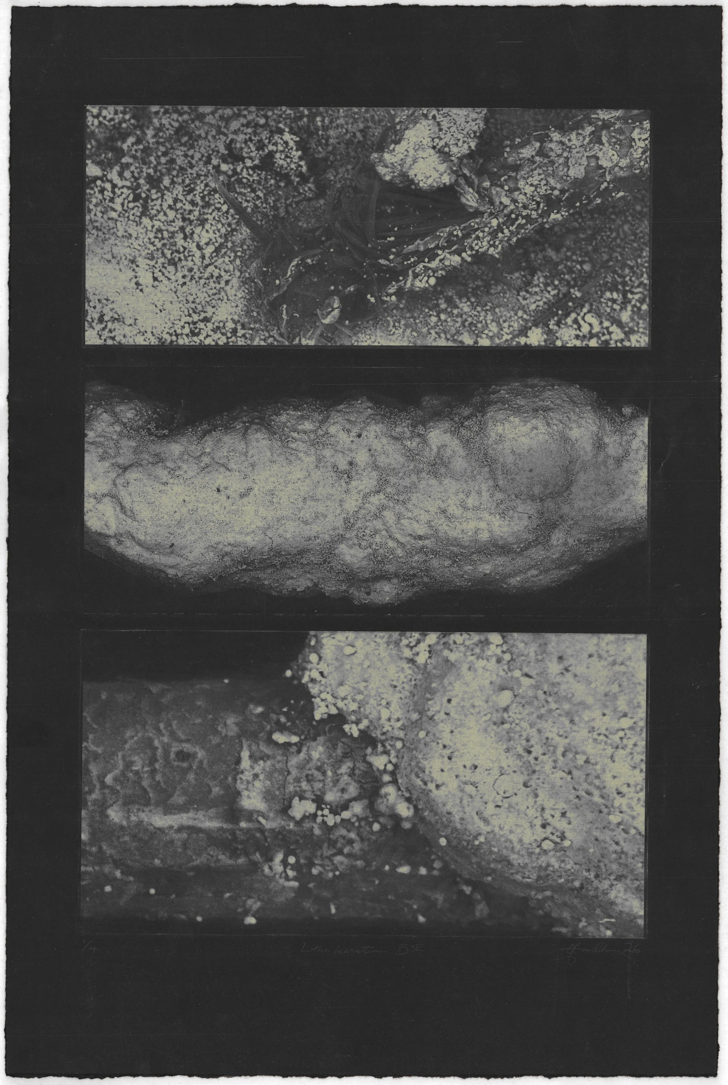 Lithokeratin BSE [dark_border].jpg