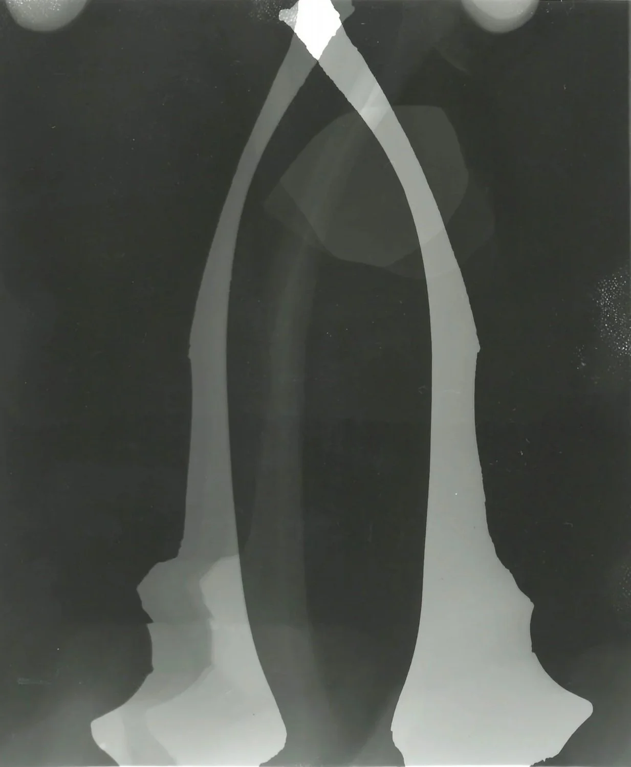 Bone (photogram series)