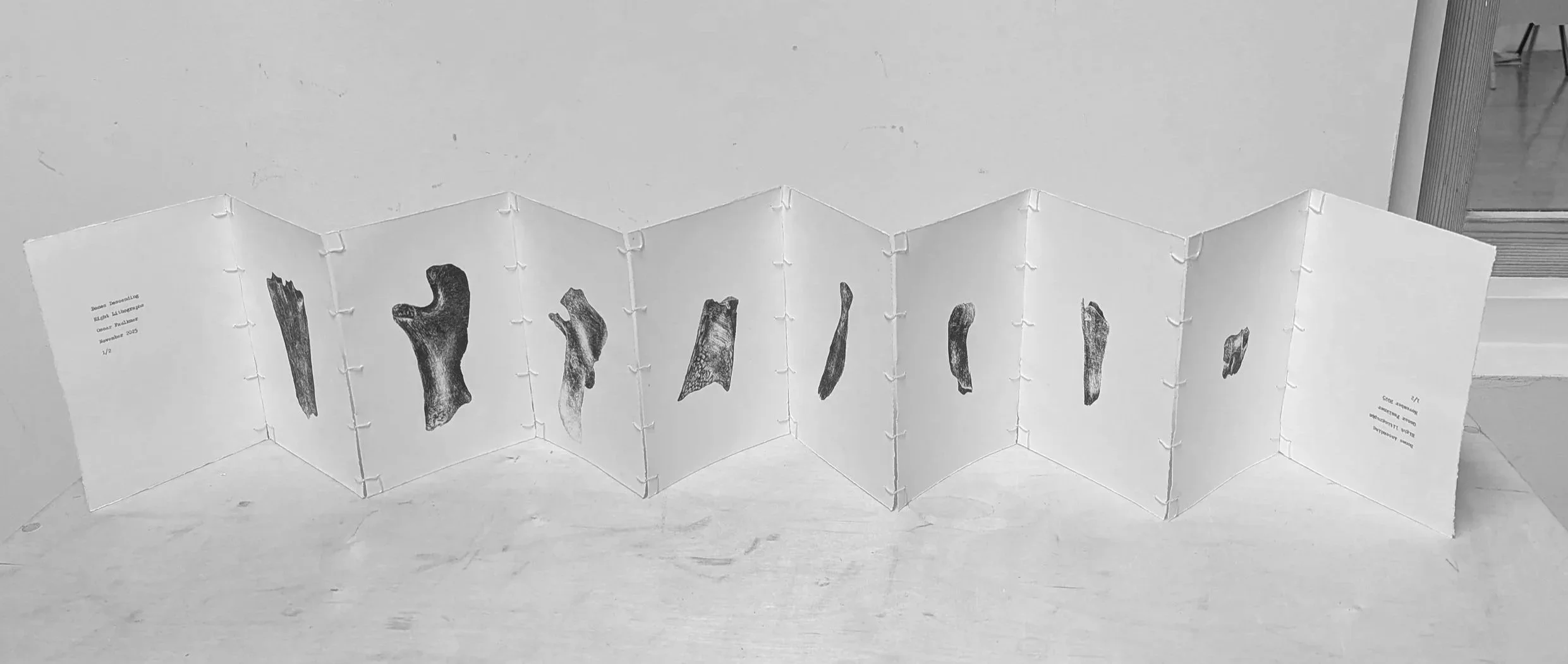 Bones Ascending / Bones Descending 