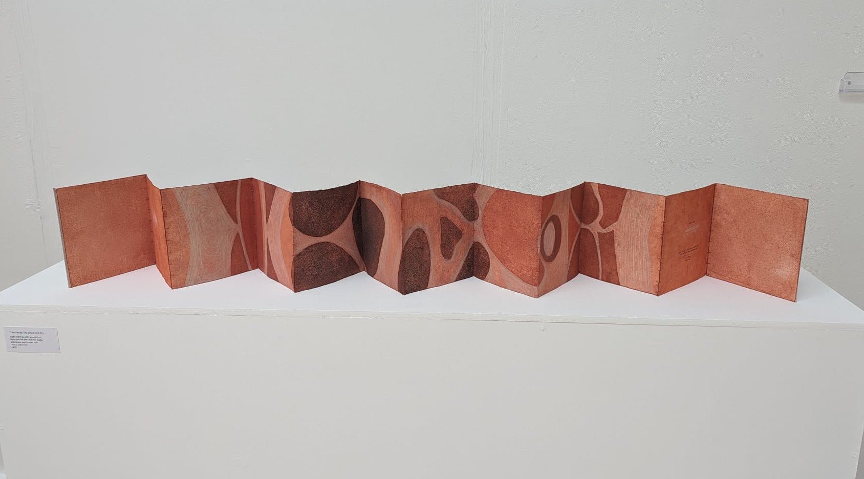 Artist Book Project 2024