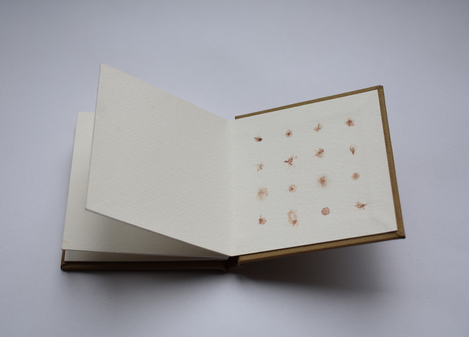 blood book small 2.jpg