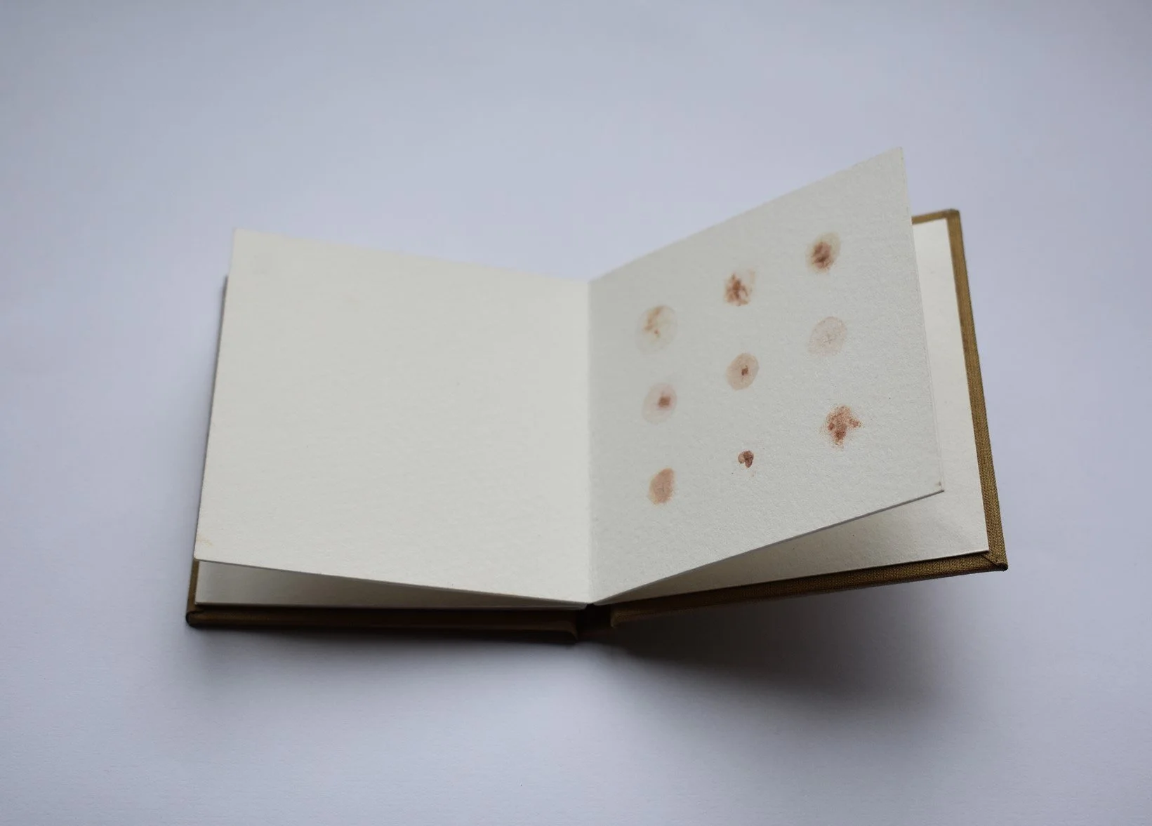 blood book small 1 .jpg