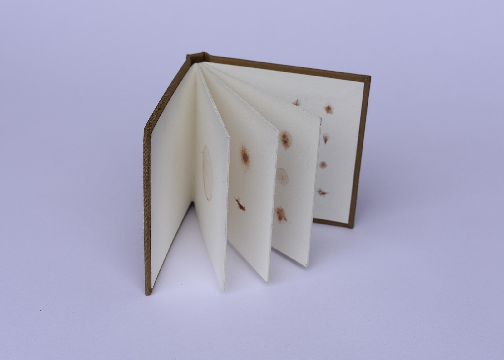 blood book small 3.jpg