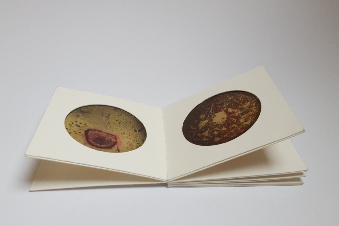 blood books 2.jpg