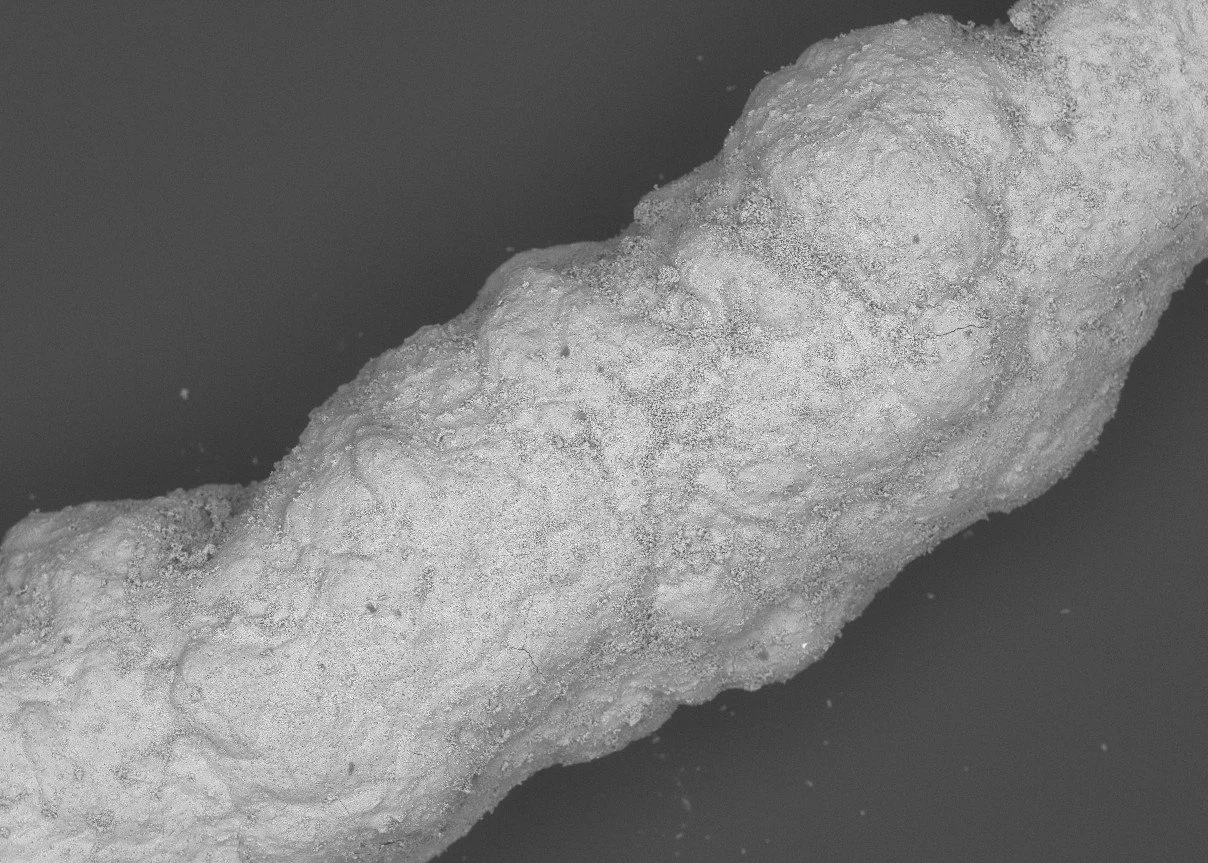 Biomineralised Human Hair | BSE | 50x