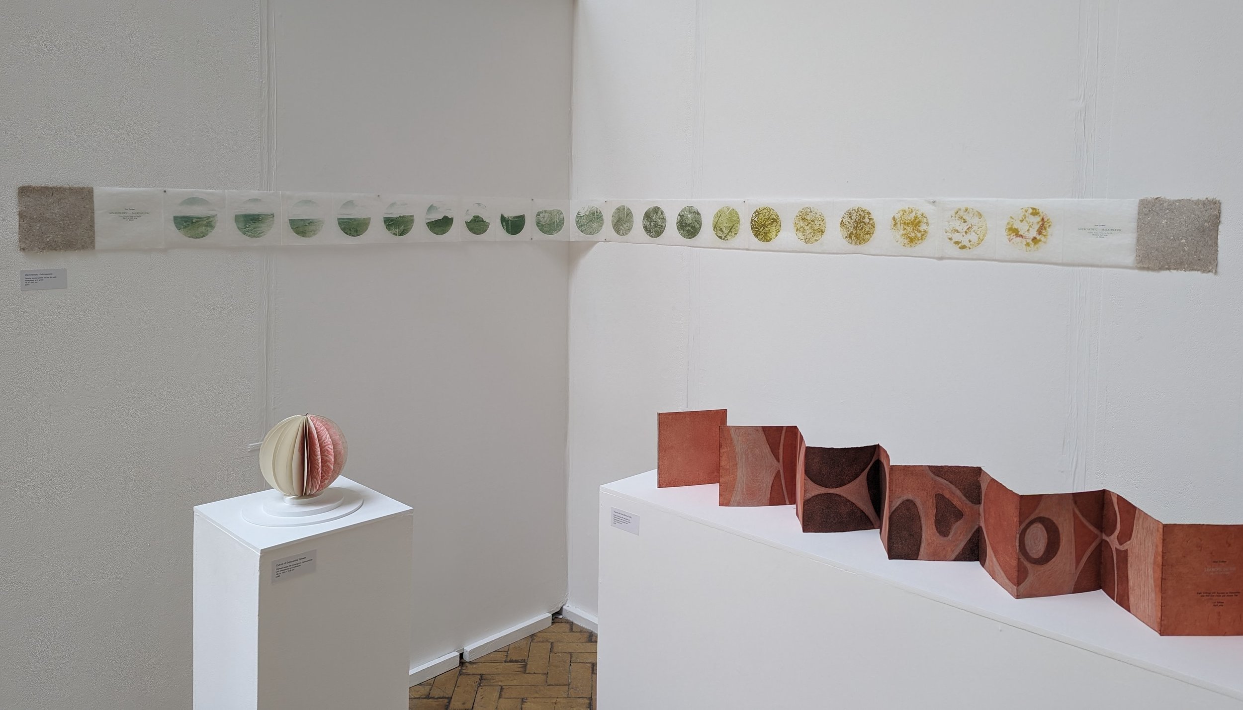 An art gallery display featuring a long strip of images of leaves gradually changing from green to yellow to orange, mounted on a white wall. On a white pedestal below, there is a ceramic sculpture resembling a segmented sphere with pink, beige, and 