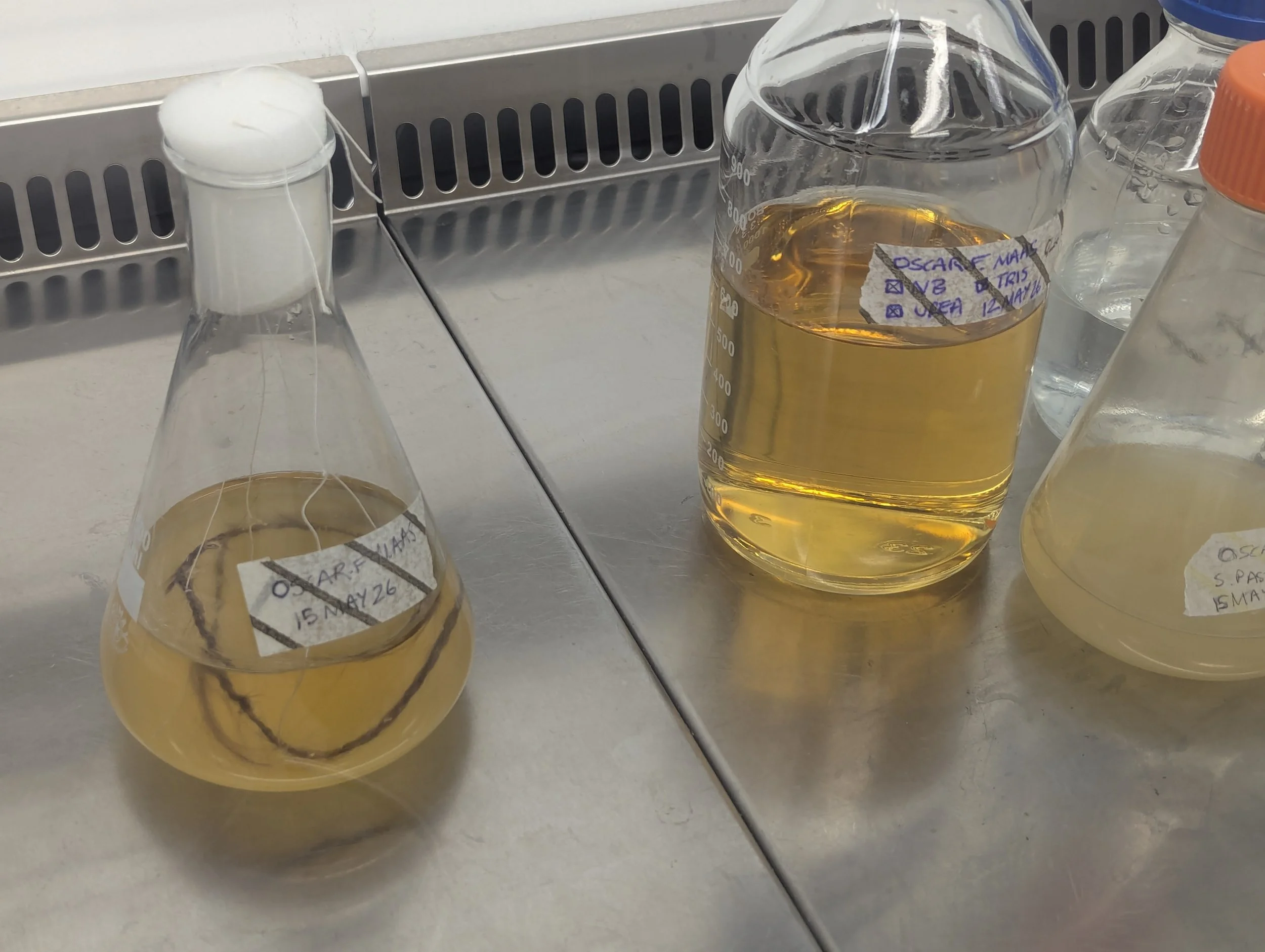 Laboratory shelf with glass bottles and flasks containing yellow and clear liquids, some labeled with handwritten notes, on a metal surface.
