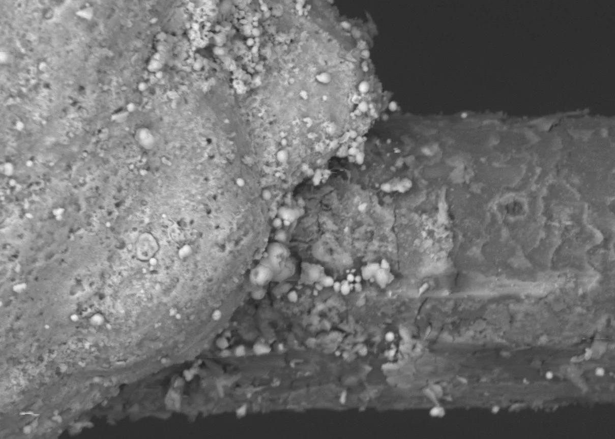 Biomineralised Human Hair | BSE | 800x