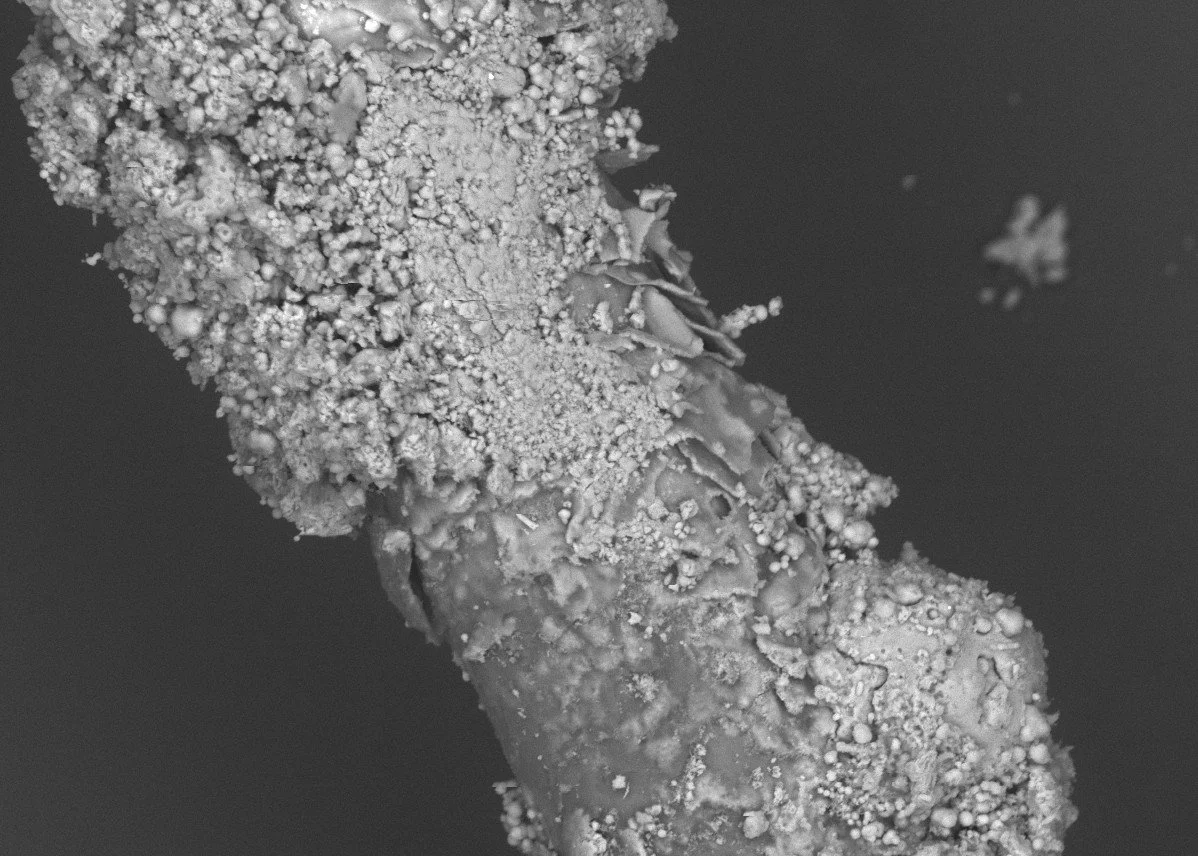 Biomineralised Wool | BSE | 500x