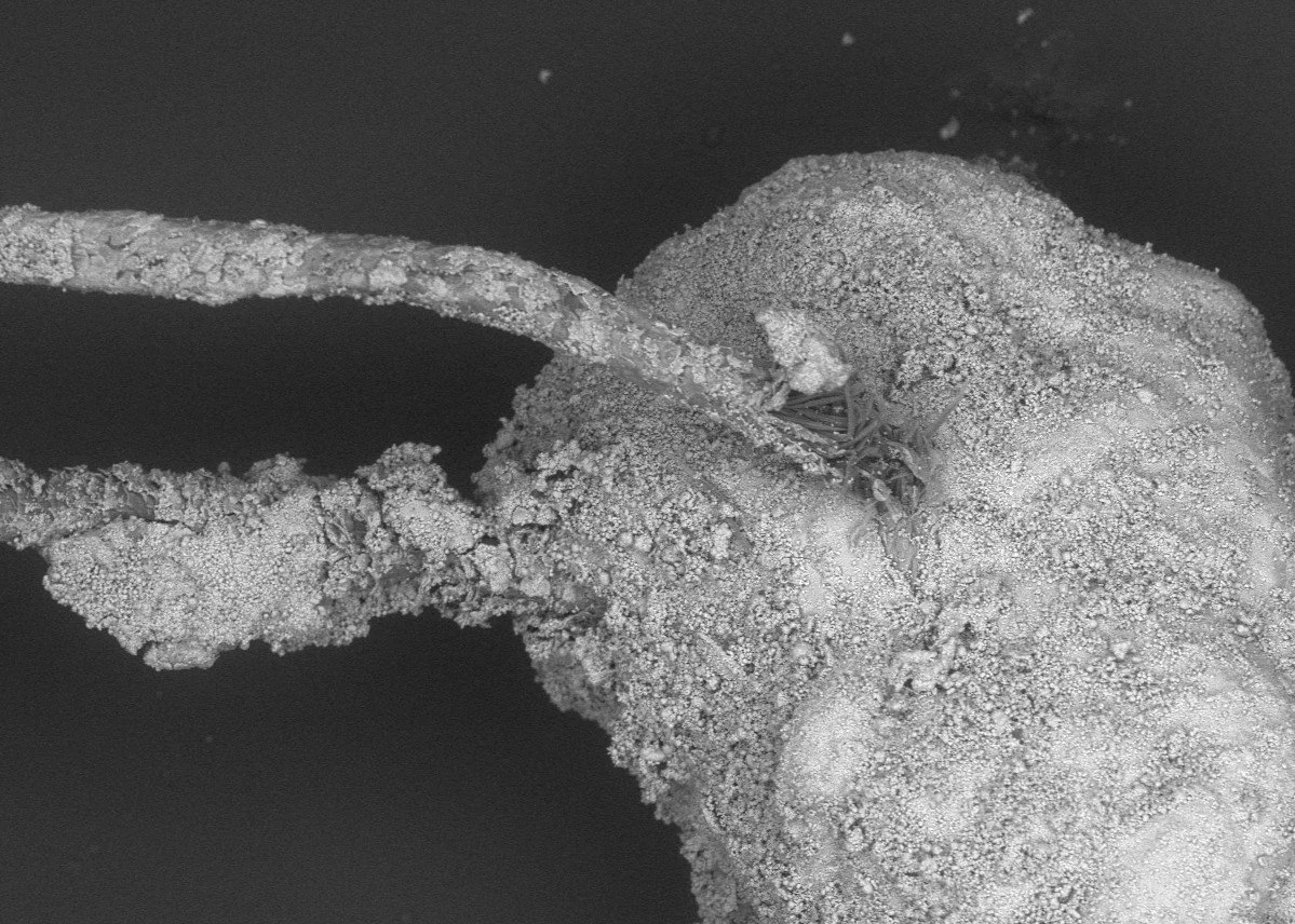 Biomineralised Human Hair | BSE | 120x