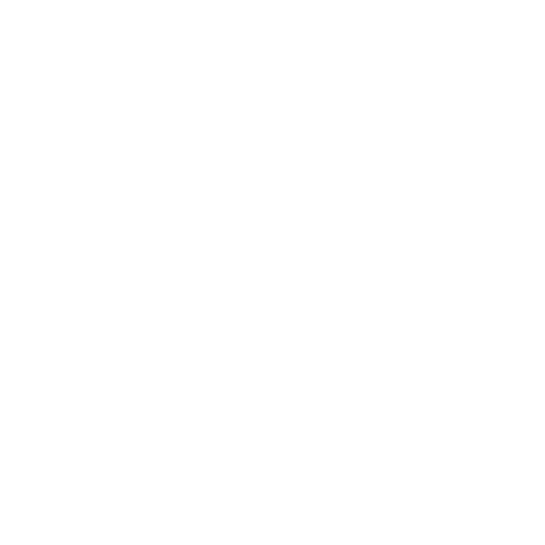 SOCIAL SOCIETY