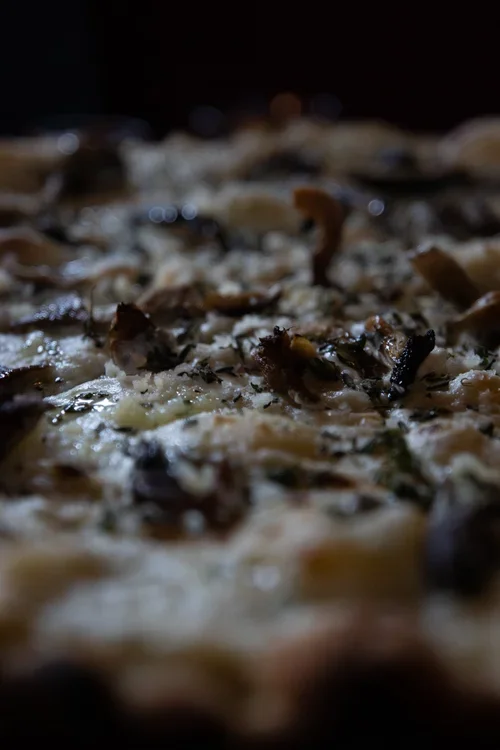 Close-up of a freshly baked pizza topped with cheese, mushrooms, and herbs.