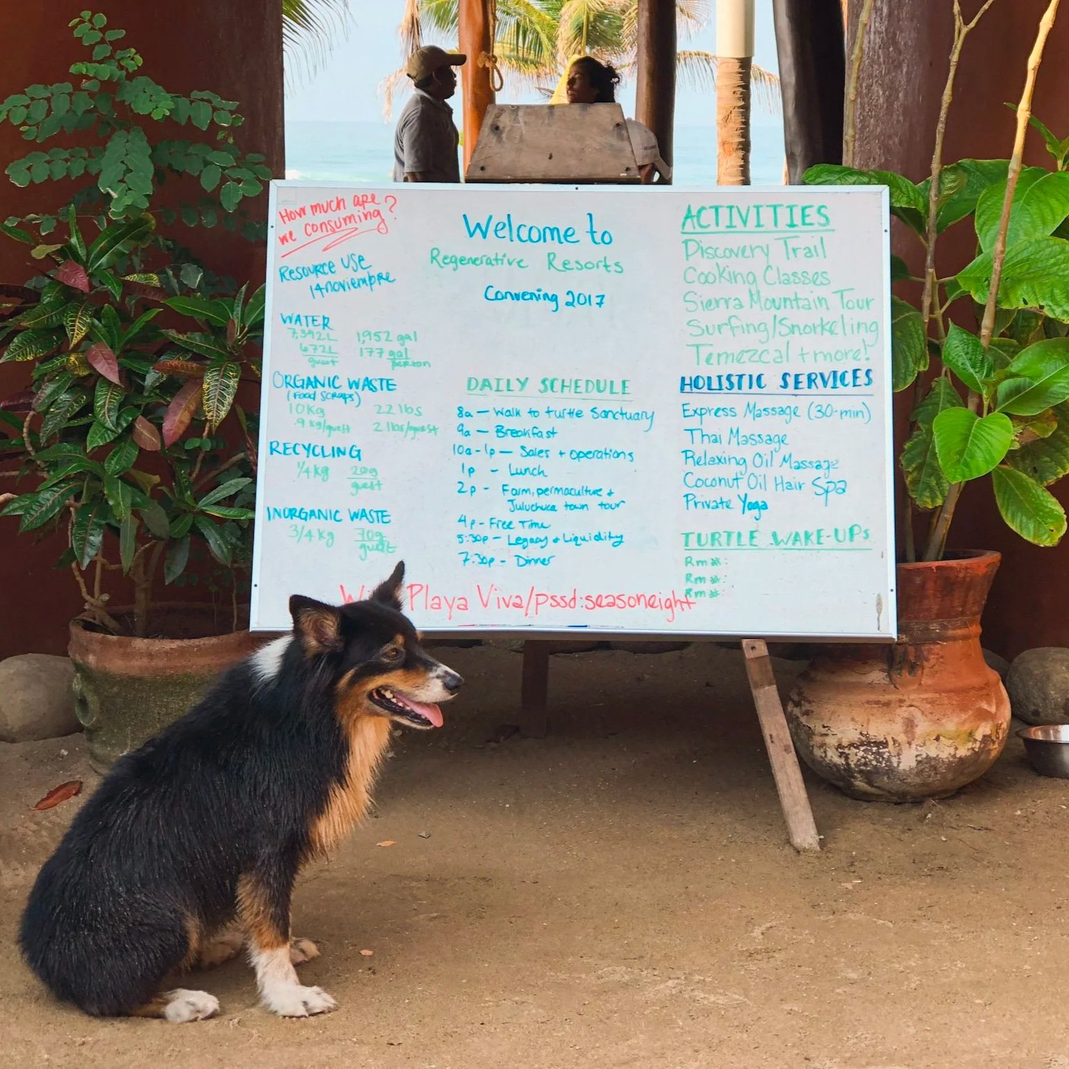 So we created think tank sessions covering operations, sales & marketing.  But true to our style, we hosted it "in the field" (corporate hotel ballrooms I'm looking at you!) 