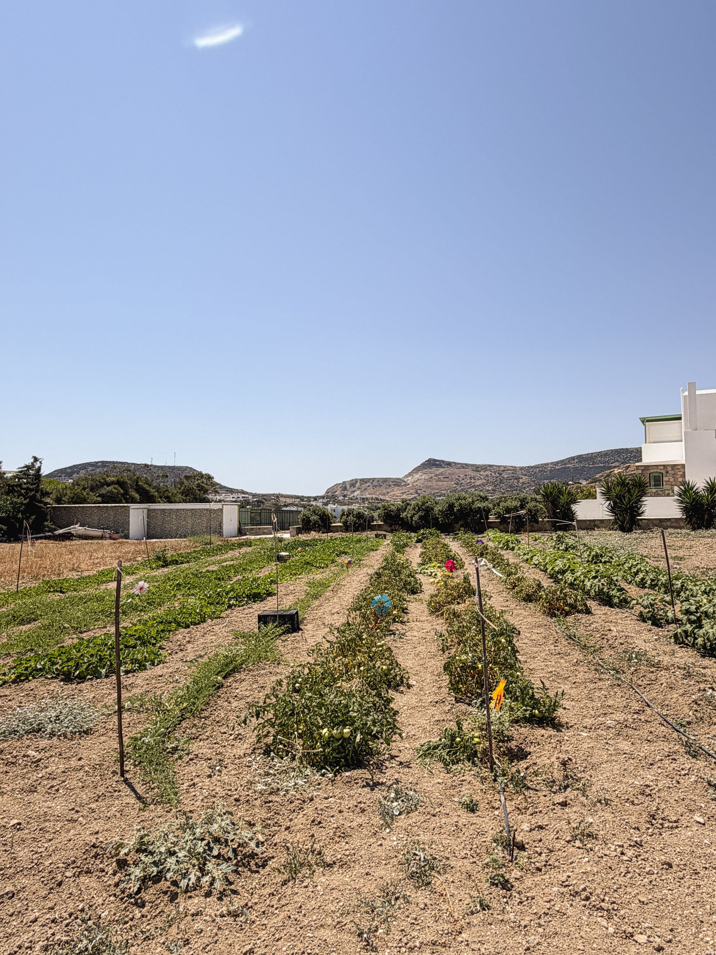 farm on Milos Greece