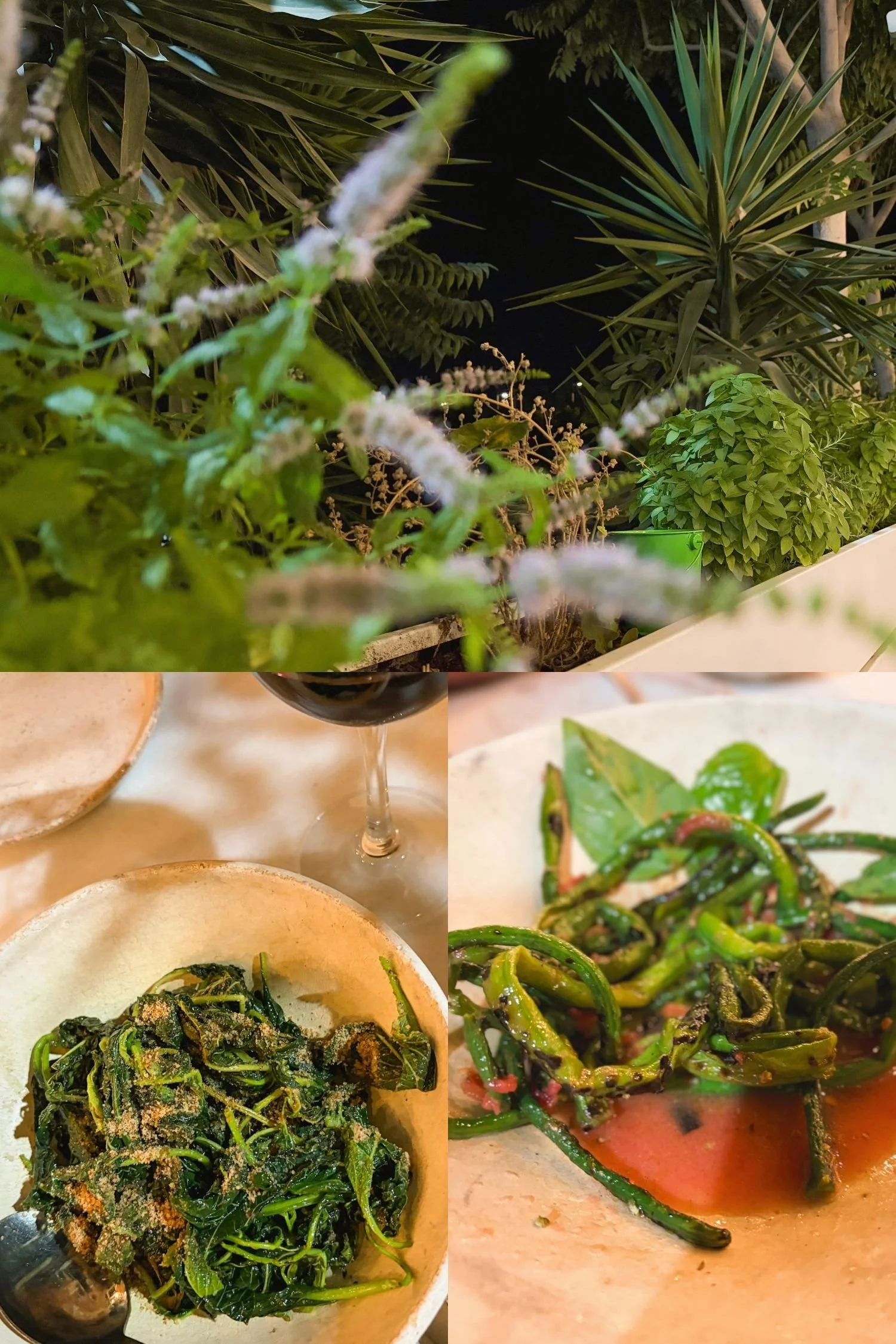 Rema Floga is an open wood-fire restaurant in Paros. Their charred wild greens with nuts and long green beans in tomato broth were deceptively delicious. Plus, the patio wall was growing potted herbs. 